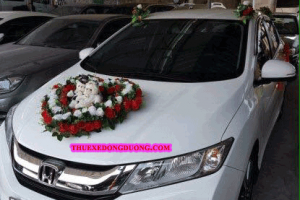 Thuê xe hoa đám cưới quận Tân Phú